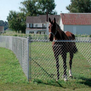 Clôture en mailles de PVC pour enclos de <span class=keywords><strong>zoo</strong></span>, animaux, moutons, chevaux, poulets, ferme, bétail, empêchant les animaux de s'échapper - Product Image 6