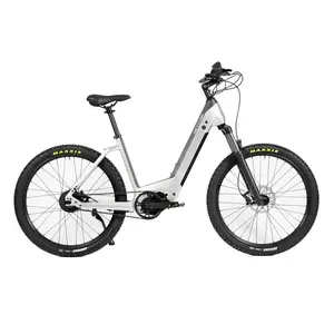 48V elektrische Fahrrad batterie Lady Bike 1000w elektrische Fahrrad batterie,