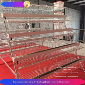 กรงเลี้ยงไก่<span class=keywords><strong>ไข่</strong></span>แบบสี่ชั้น สี่ประตู แบบขั้นบันได รุ่น A ติดตั้งง่าย - Product Image 6