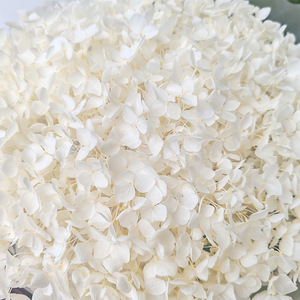 <span class=keywords><strong>Hydrangea</strong></span> Éternelle, Fleur Éternelle, <span class=keywords><strong>Hydrangea</strong></span> Anna, <span class=keywords><strong>Hydrangea</strong></span> en Bois, Bouquet de Fleurs Séchées, Cadeau pour la Saint-Valentin - Product Image 6