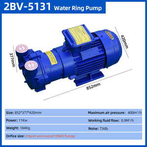 Customizable Industrial Stainless Steel AC Motor <b>Ring</b> Pump <b>Compressor</b> High Vacuum 2BV-5131 OEM High Water Pump - Product Image 2