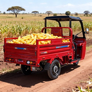 Véhicule électrique à trois roues, direct usine; tricycle électrique de 1 500W avec une charge utile de 600kg pour le transport - Product Image 6