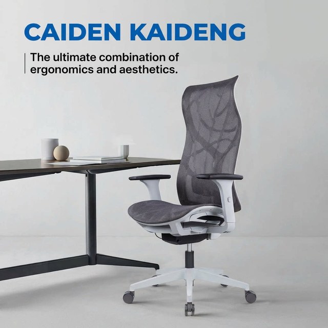 Factory Direct Custom Stylish Ergonomic Mesh Office Chair, Support Sample, High Back with Lumbar Support