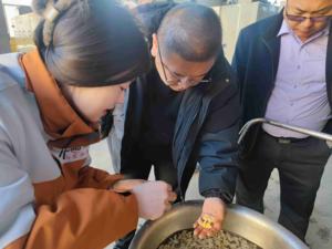 نواة جوز اللوز بجلد الفول السوداني صخري - Product Image 2