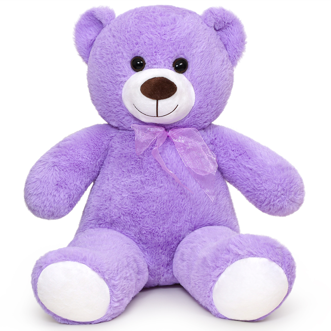 Viola