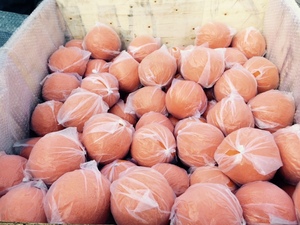 Конкретный губчатый цилиндр/шарик/свинья/куб, распродажа - Product Image 4