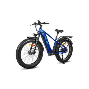 Bicicleta Eléctrica Todoterreno HAOQl 2.0 con Motor Trasero de 250W, Alcance de 60km, Cuadro de Aluminio, 7 Velocidades Ajustables - Product Image 3