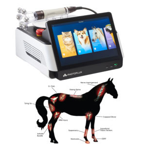 Sistem Terapi Laser Diode Veteriner untuk Pengobatan Nyeri dan Pemanasan Luka - Product Image 2