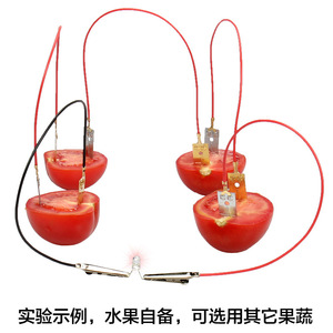 Fruit-based power generation salt water battery student science project primary battery experiment kit children's DIY teaching - Product Image 3