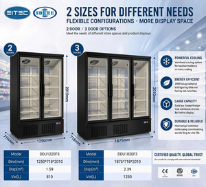 Congélateur vertical vitré SDERE - Réfrigérateur commercial pour aliments surgelés à brancher, 2/3 portes pour supermarché - Product Image 4