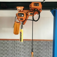 Palans à chaîne Wanlong 5t avec une hauteur de levage de 30 m et une garantie pour l'entreposage, l'exploitation minière et autres applications