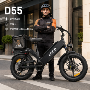 Vélo cargo électrique D55, prix FOB, 48V 55Ah, moteur brushless 750W, pneus larges 20 pouces, batterie intégrée dans le tube diagonal - Product Image 1