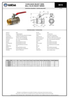 WESA genel kullanım 1/2 "DN15R pirinç küresel vana FE/MA PN16 PTFE/FKM çelik saplı manuel anahtar