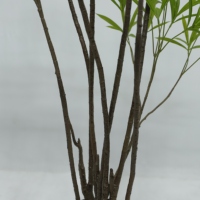 Tanaman Palsu Gardenia Daun Willow Buatan untuk Dekorasi Dalam Ruangan, Pohon Bunga Putih