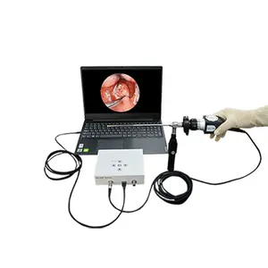 Newst पोर्टेबल यूएसबी इंडोस्कोपिक कैमरा पशु चिकित्सा में उपयोग