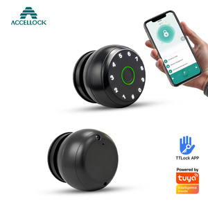 Easy Install Smart Ball <strong>Door</strong> Lock for Wooden <strong>Door</strong> Replace Traditional <strong>Knob</strong> Lock Fingerprint Unlock Cloud Tuya App Aluminum Alloy - Product Image 1