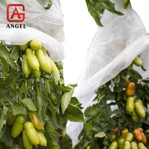 Sacs en filet biodégradables pour fruits et légumes sacs de protection de culture de mangue sac de protection de fruits de goyave - Product Image 2