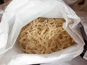 Eucheuma cottonii จากเวียดนามผลิตภัณฑ์ทางการเกษตรเกรดสูง - Product Image 5