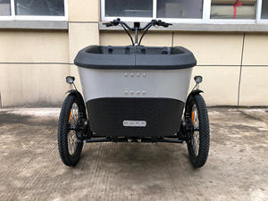 <span class=keywords><strong>Remorque</strong></span> vélo électrique 3 roues etrike cadre suspension vélo <span class=keywords><strong>remorque</strong></span> <span class=keywords><strong>vtt</strong></span> électrique cargo vélo familial avec boîte de livraison en mousse epp à prix abordable - Product Image 5