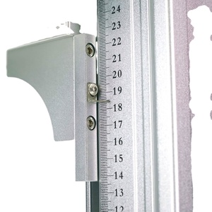 Colonne Z électrique pour l'industrie des lasers à fibres, facile à utiliser, pour le métal - Product Image 2