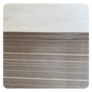Compensato di betulla impermeabile da 18mm Premium 1 2 pollici fogli bianchi prefiniti per pavimenti per case mobili e compensato per uso marino levigato - Product Image 3
