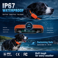 Traceur GPS 4G GSM OEM pour animaux de compagnie, en plastique, pour la santé des chiens, anti-perte, suivi à distance en temps réel via APP, accepte la personnalisation