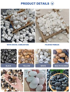 <span class=keywords><strong>Piedra</strong></span> de Guijarro Natural Pulida <span class=keywords><strong>Blanca</strong></span> <span class=keywords><strong>para</strong></span> Jardines, Precios de Fábrica, Grava <span class=keywords><strong>Blanca</strong></span> <span class=keywords><strong>para</strong></span> la Industria de la Construcción - Product Image 3