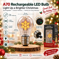 Ampoule LED rechargeable A70 en plastique prête à être expédiée, motif de Noël personnalisé, lumière décorative sans fil USB-C, emballage OEM, CE