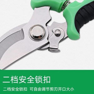 Garden Pruning Shears Stainless Steel Bird Beak Design Fruit Picker Manual Pruner For Horticultural <b>Branch</b> Cutting - Product Image 5