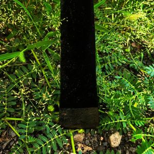 Custom OEM Gardening <strong>Pickaxe</strong> Farming Agriculture Industries Digging Tool with Wooden <strong>Handle</strong> - Product Image 6