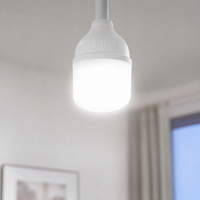 Ampoule LED domestique de haute qualité 10W et 20W, culot B22 E26 E27, 70-130lm/w, vente en gros