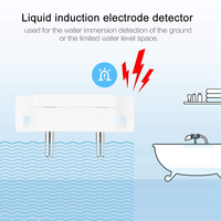 Détecteur de niveau de fuite d'eau à haute sensibilité, sonde en acier inoxydable, détecteur de liquide, outil de test de fuite d'eau pour