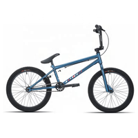 LEWEE Prix d'usine 20 pouces BMX Bike Steel Frame U Brake Mini Bicycle Free Style Bicicleta Kid's BMX Cycle Customized