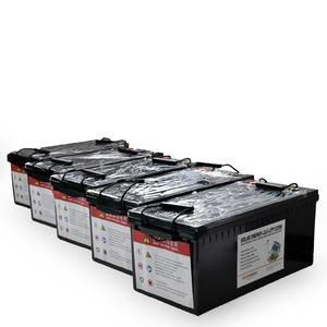 Sistema de Energía Solar Fuera de la Red de 24 V y 200 Ah, Batería de Litio de 100 Ah para Almacenamiento de Energía Solar en el Hogar - Product Image 6