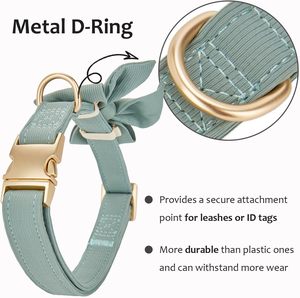 Collar Nibao Grande, Cómodo y Elegante <span class=keywords><strong>para</strong></span> <span class=keywords><strong>Perros</strong></span> <span class=keywords><strong>Machos</strong></span> Grandes - Product Image 2