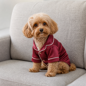 Cute Solid Color Satin <b>Dog</b> Coat Maroon with White Trim All Seasons Pet <b>Clothes</b> for <b>Dogs</b> - Product Image 1