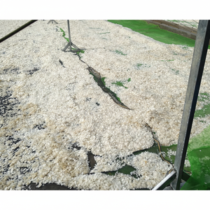 Escarlas de Pescado Secas al Sol Naturales de Vietnam, Proveedor de Materia Prima al por Mayor - Product Image 1