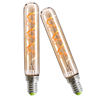 Lot de 2 ampoules LED flexibles à filament rétro décoratives T20*120, petite ampoule en forme de tube à essai, culot E14, usage résidentiel, AC 2700K