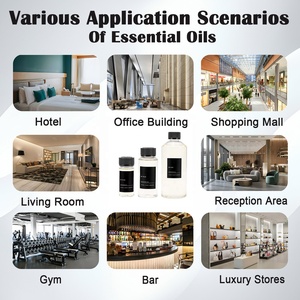 エスケーパードアロマ360エッセンシャルオイルフレグランス純粋な香りのエッセンシャルオイル濃縮ホテルアロマオイル用ディフューザー - Product Image 2