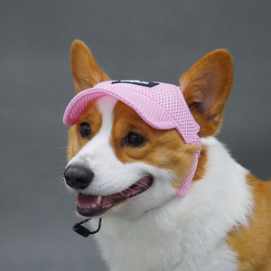Chongtapet Gorra de malla para perros, protección solar de verano, gorras para perros de razas grandes con orejas expuestas - Product Image 3