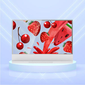 Venta Directa de Fábrica, Pantalla Digital LCD Transparente de Doble Cara de 55 Pulgadas con Nueva Tecnología para Uso en Interiores, Garantía de 3 Años - Product Image 1