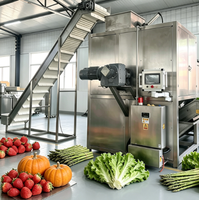 Stoomschilmachine voor abrikozen en pruimen, laagverliezende fruitstoomschilmachine voor de verwerking van geconserveerd fruit
