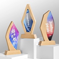 Trophée en cristal lumineux personnalisable avec base en bois de hêtre pour événements de remise de prix, champions, employés exceptionnels, récompenses sportives annuelles