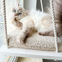 Siège de fenêtre pour chat Perchoir de fenêtre pour chat Hamac de fenêtre pour chat