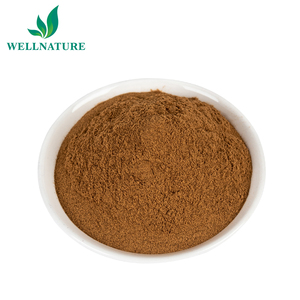 Pó de extrato de raiz de dente de leão selvagem - Product Image 2