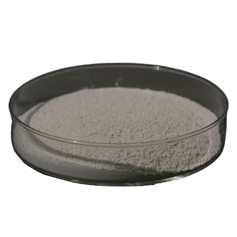 Calcium Carbonate Manufacturer Supply Coated Calcium Carbonated Powder Caco3 Carbonate Price