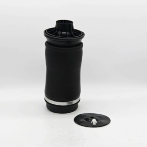 Ressort pneumatique arrière pour modèles ML (W164) 2006-2011 1643200925 1643200825 - Product Image 4