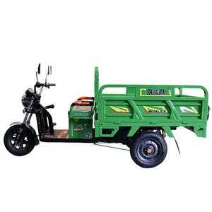 chinese heavy duty electric cargo tricycle volta electric cargo tricycle for adult