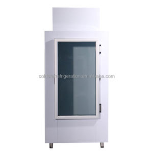 Indoor Fan Cooling Solid Door Commercial Ice Merchandiser <b>Freezer</b> with Digital Control Single-Temperature Bagged Ice Storage Bin - Product Image 3