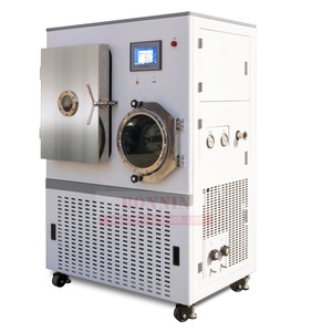 เครื่องทำแห้งแบบแช่เยือกแข็งอัตโนมัติสำหรับห้องปฏิบัติการ LGJ-100F 220V สำหรับการแปรรูปอาหาร ปั๊มและมอเตอร์ทำจากสแตนเลส SUS304 - Product Image 1